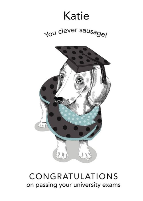 Dotty Dog Art Illustrated Dachshund Dog University Exams Congratulations Card