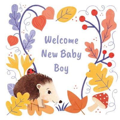 Cute Autumnal Illustrated Hedgehog Woodland Foliage New Baby Card