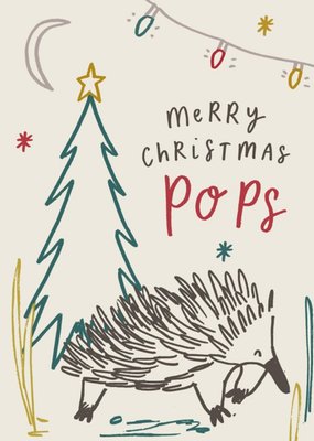 Brushed Up Animals Hedgehog Dad Christmas Card