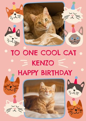 To One Cool Cat Photo Upload Birthday Card