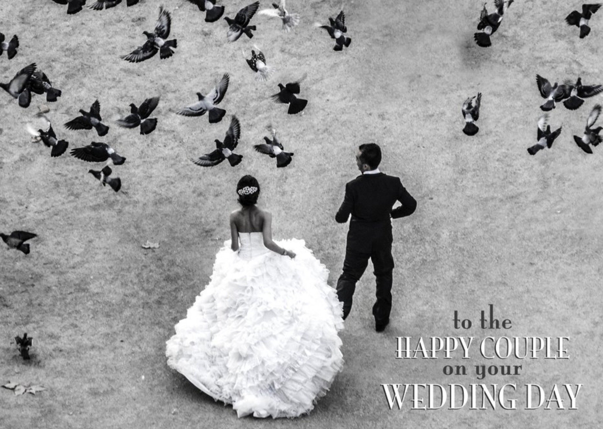 Black And White Birds To The Happy Couple Wedding Day Card Ecard