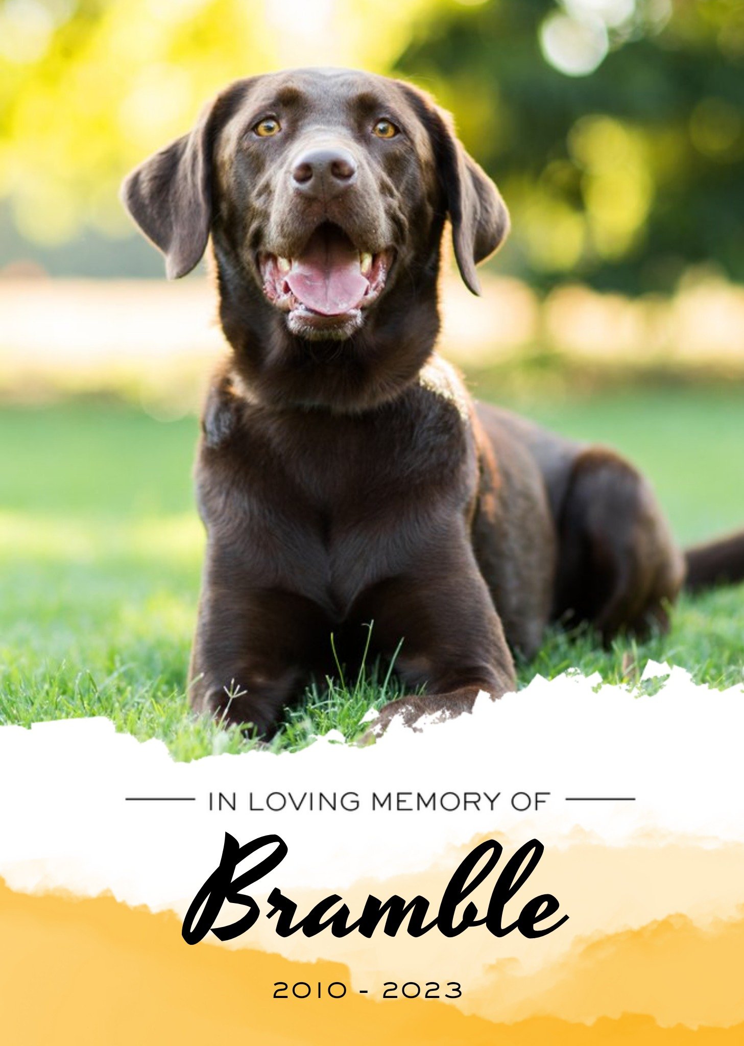 Pet Memorial Personalised Photo Upload Card In Loving Memory Card Ecard