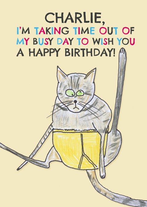 Quirky Illustration Of A Cat In Briefs Humorous Birthday Card