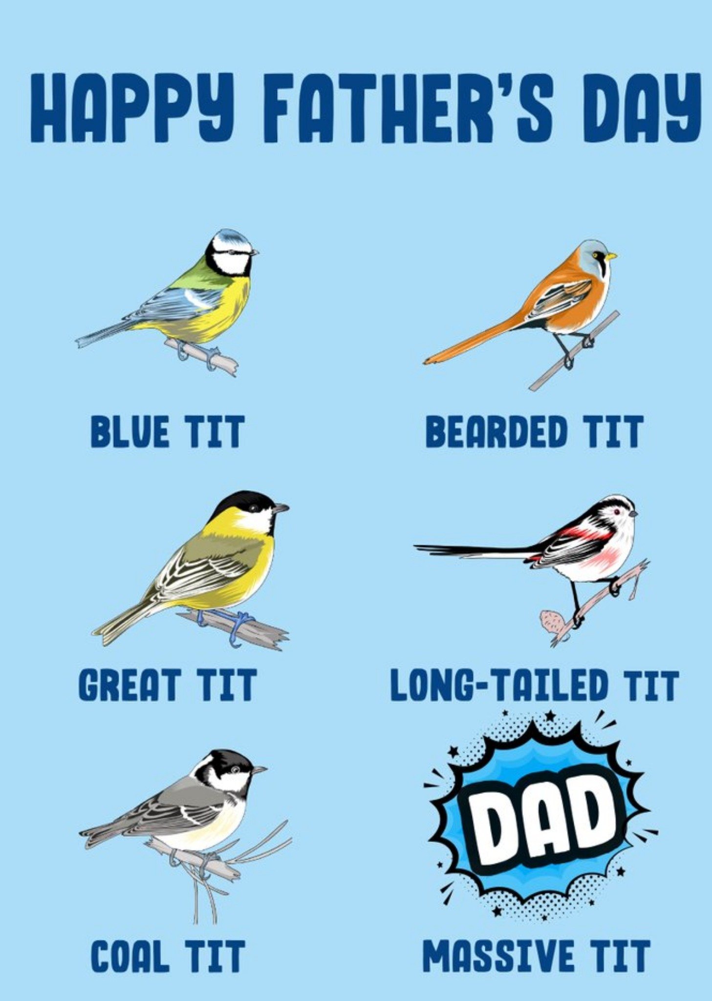 Filthy Sentiments Funny Bird Spotting Father's Day Card