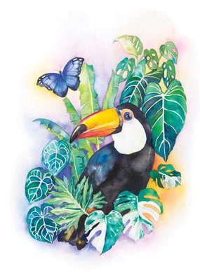 Watercolour By Cat Toucan Floral Just A Note Card