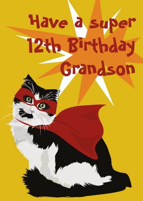 Illustrated Superhero Cat Grandson 12th Birthday Card