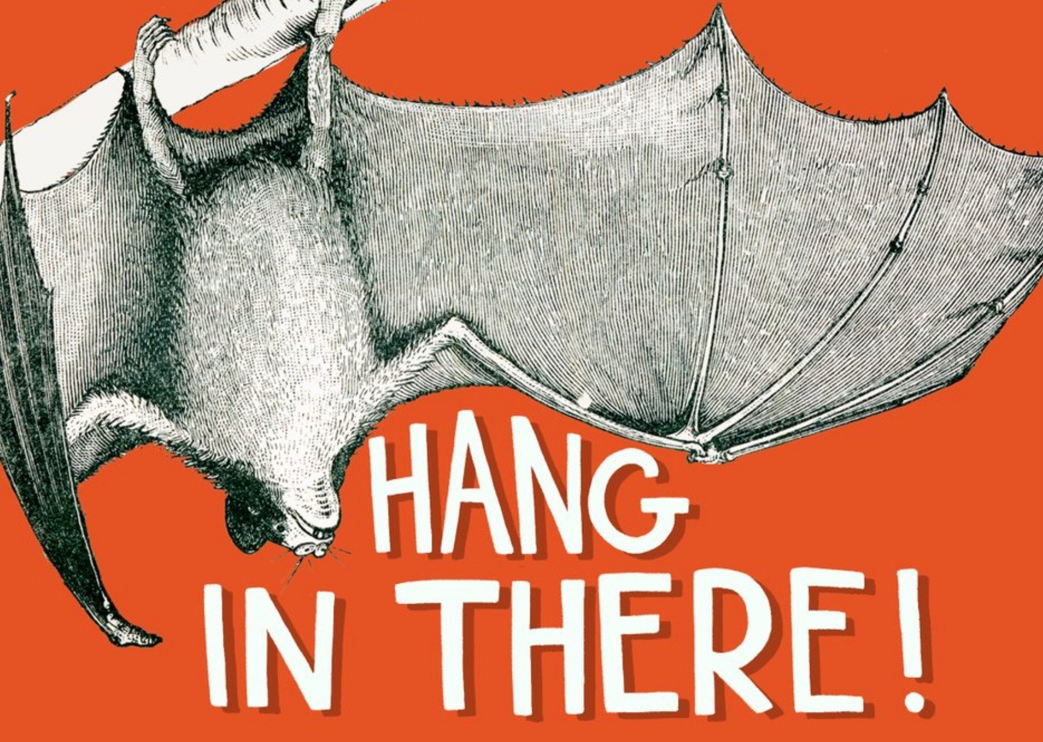 Moonpig Hang In There Postcard