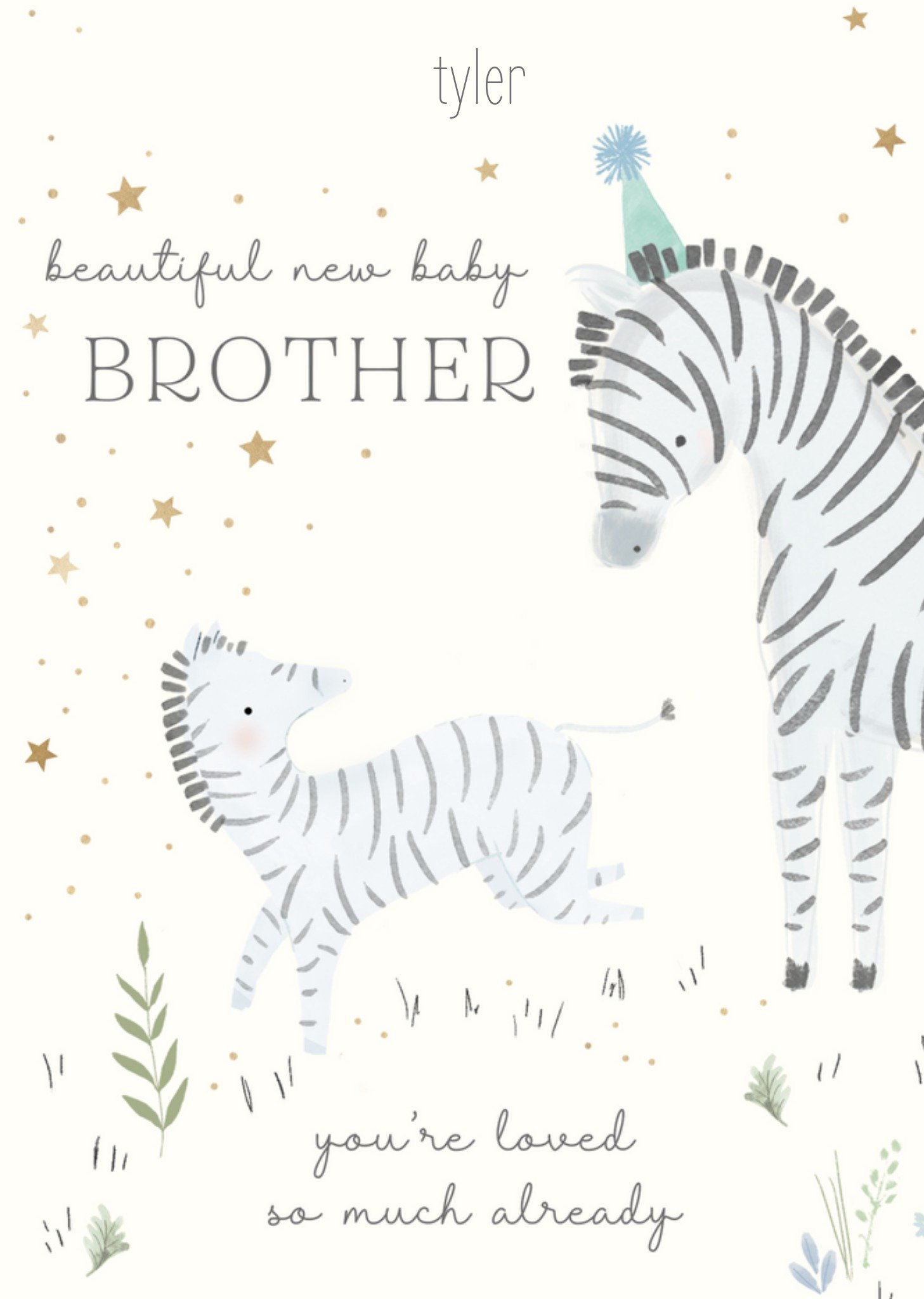 Moonpig Beautiful Brother Zebra Illustrations New Baby Card Ecard