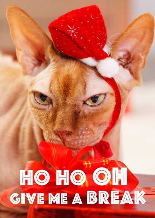 Sphynx Cat Give Me A Break Personalised Christmas Card