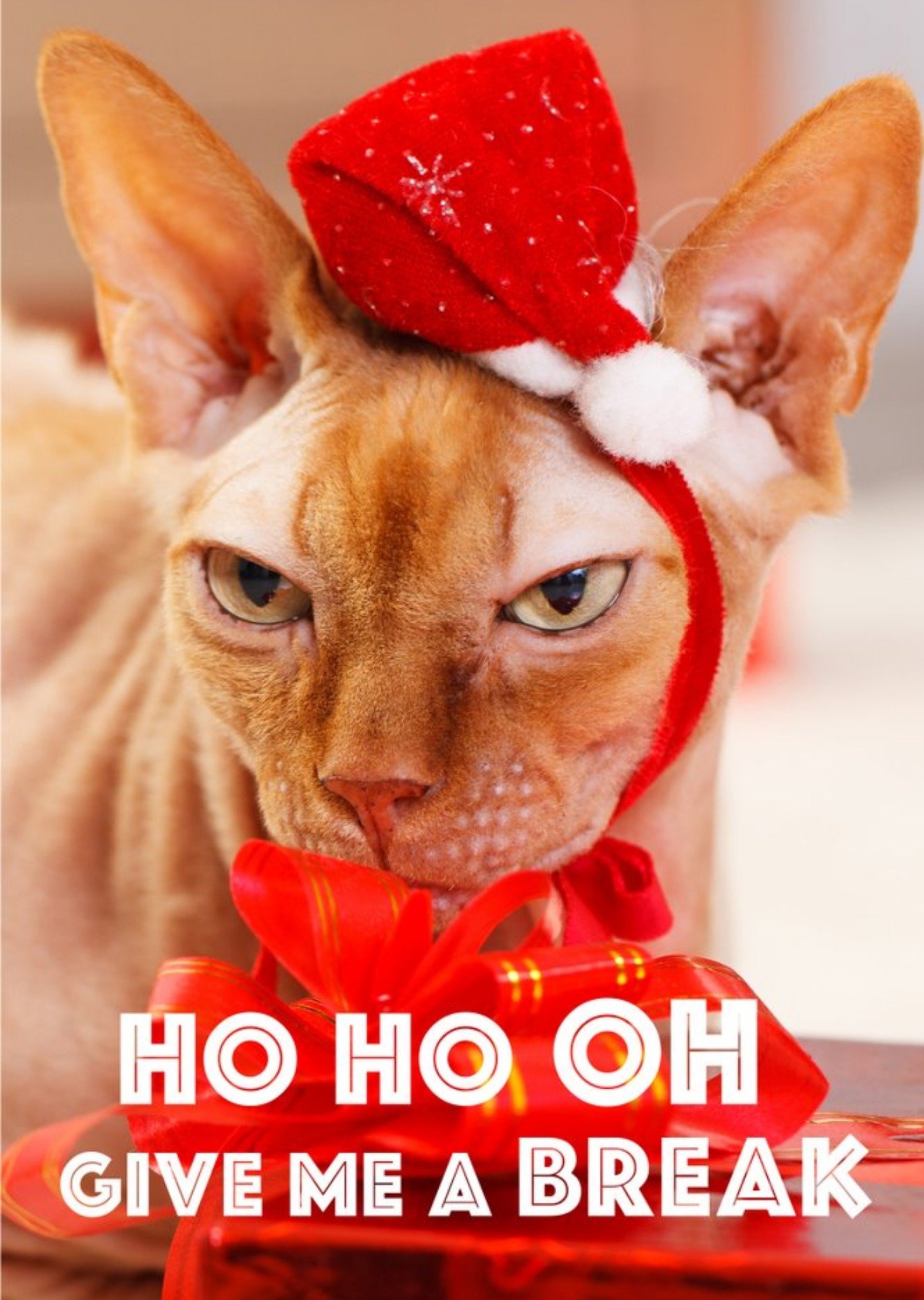 Sphynx Cat Give Me A Break Personalised Christmas Card Ecard