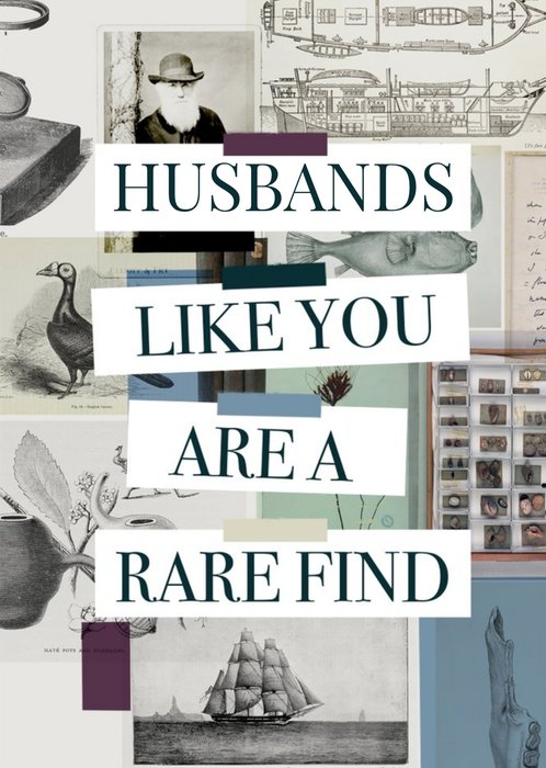 Natural History Museum Charles Darwin Husbands Like You Are A Rarefind Birthday Card