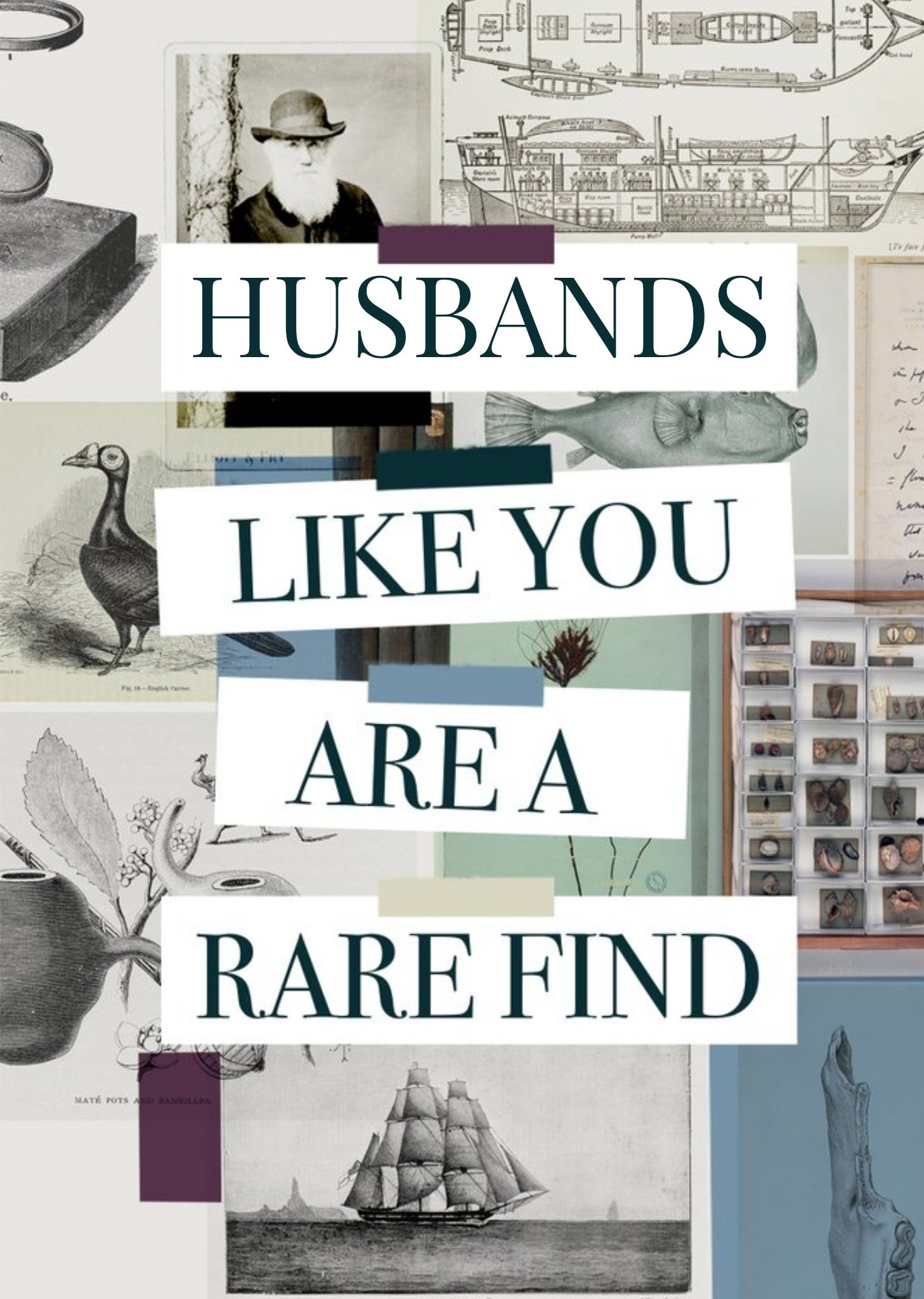 The Natural History Museum Natural History Museum Charles Darwin Husbands Like You Are A Rarefind Birthday Card Ecard