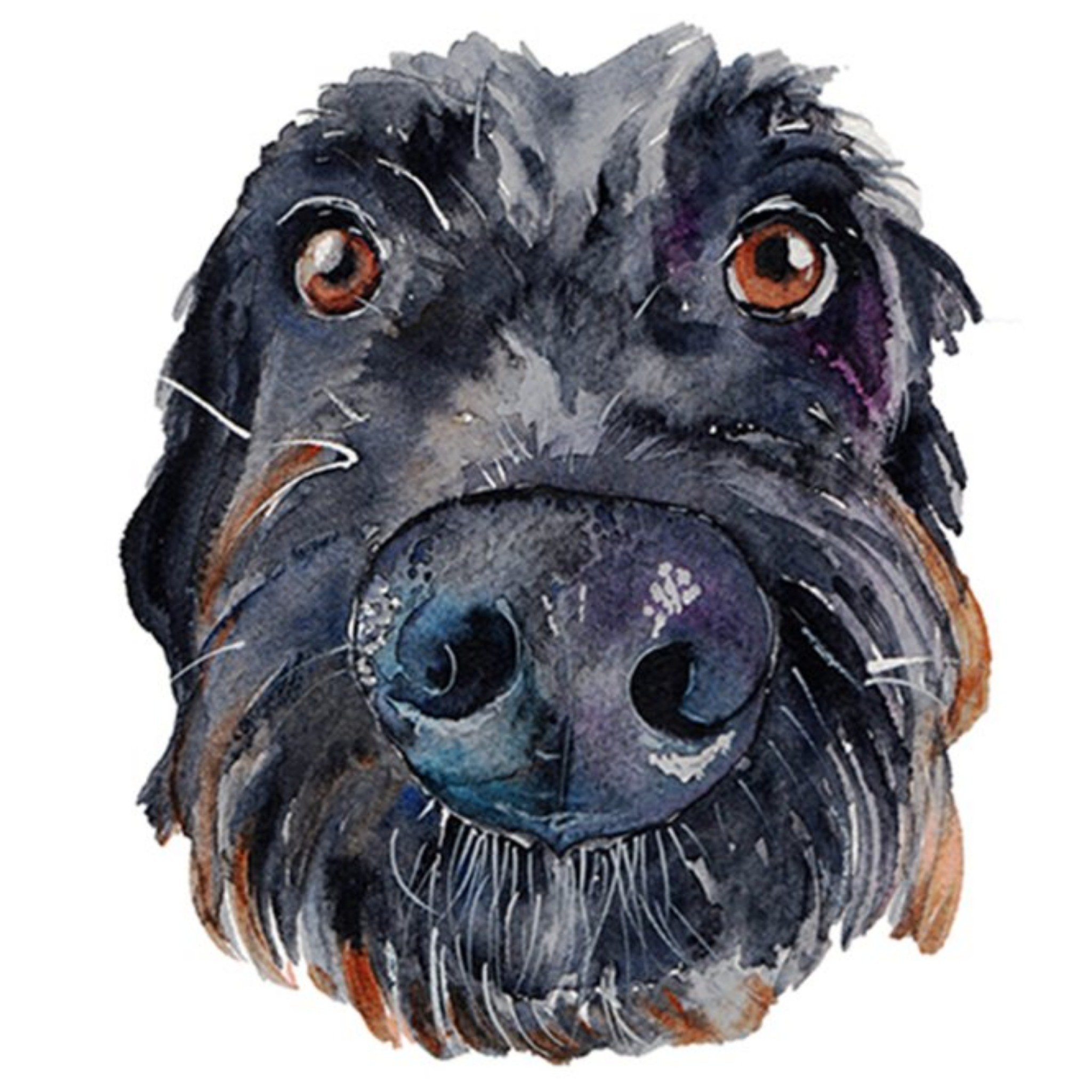 Moonpig Illustrated Watercolour Black Labradoodle Dog Just A Note Card, Large