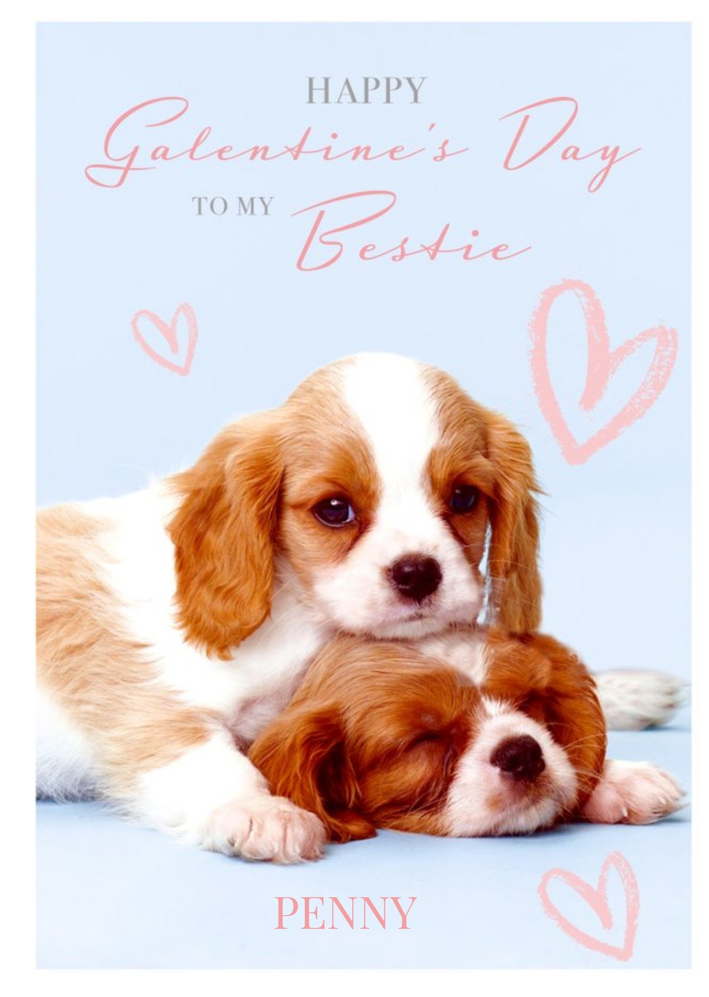 Moonpig Animal Planet Puppy Galentine's Day Card, Large