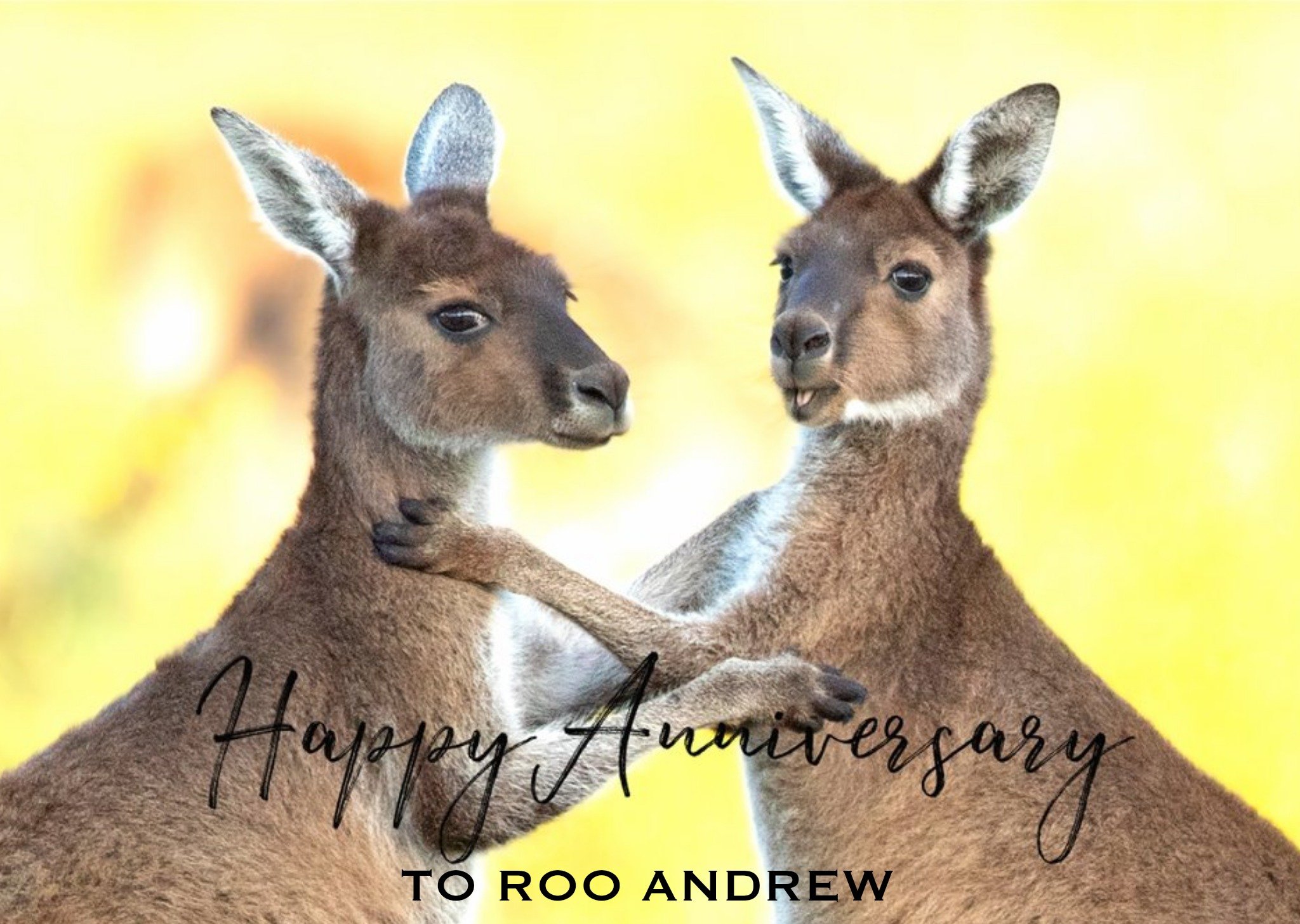 Moonpig Photographic Kangaroo Customisable Anniversary Card Ecard