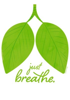 Mindful Nature Just Breathe T Shirt