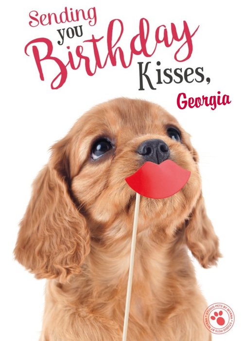 Sweet Puppy Dog Birthday Kisses Card