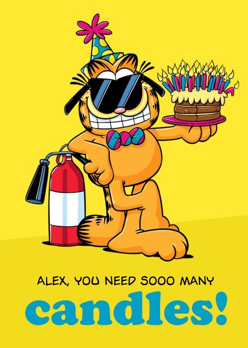 Funny Garfield So Many Candles Birthday Card