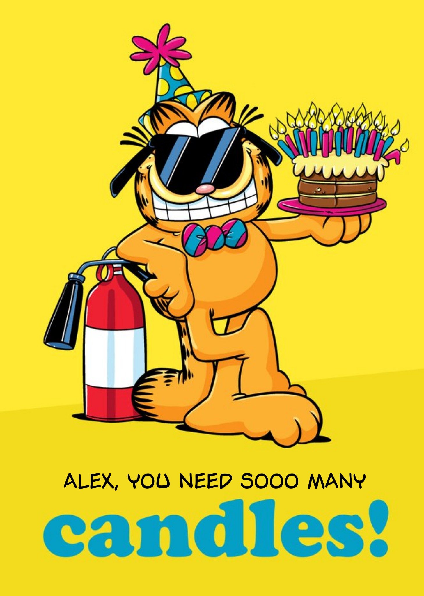 Nickelodeon Funny Garfield So Many Candles Birthday Card Ecard