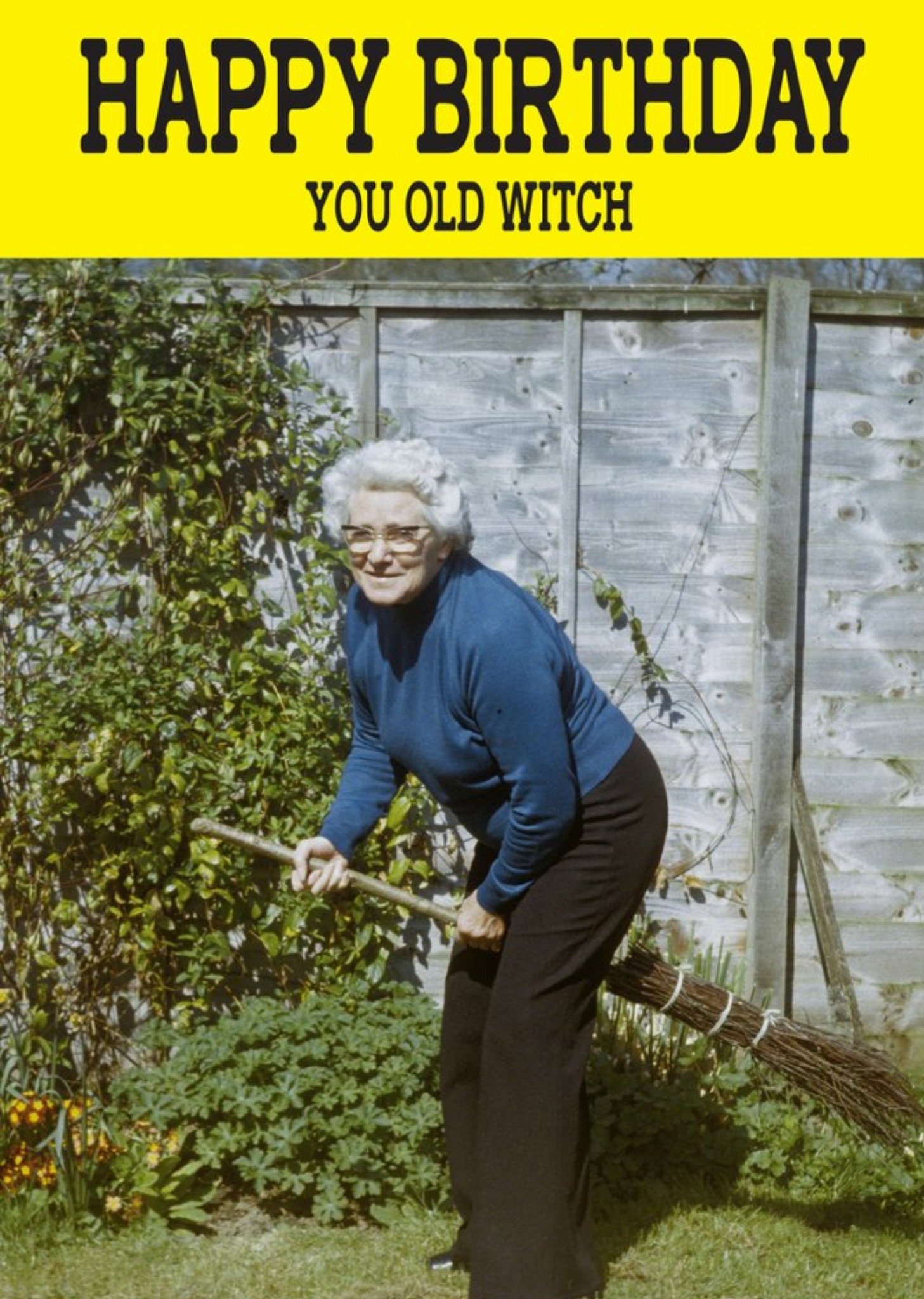 Moonpig Funny Cheeky Chops Happy Birthday You Old Witch Card Ecard