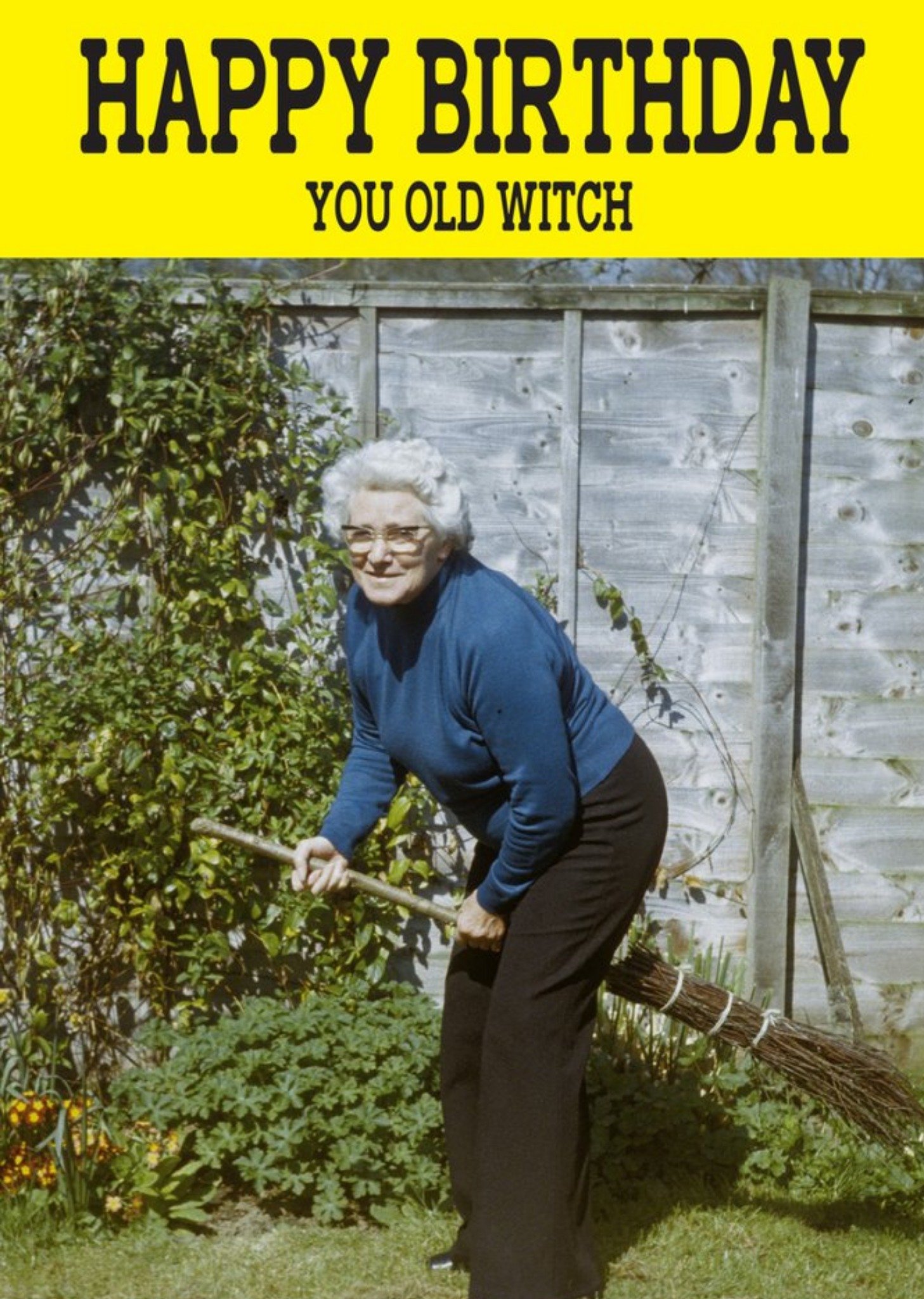 Funny Cheeky Chops Happy Birthday You Old Witch Card Ecard