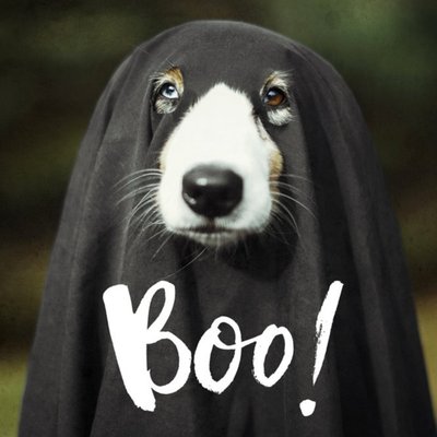 Doggie Ghost Halloween Card