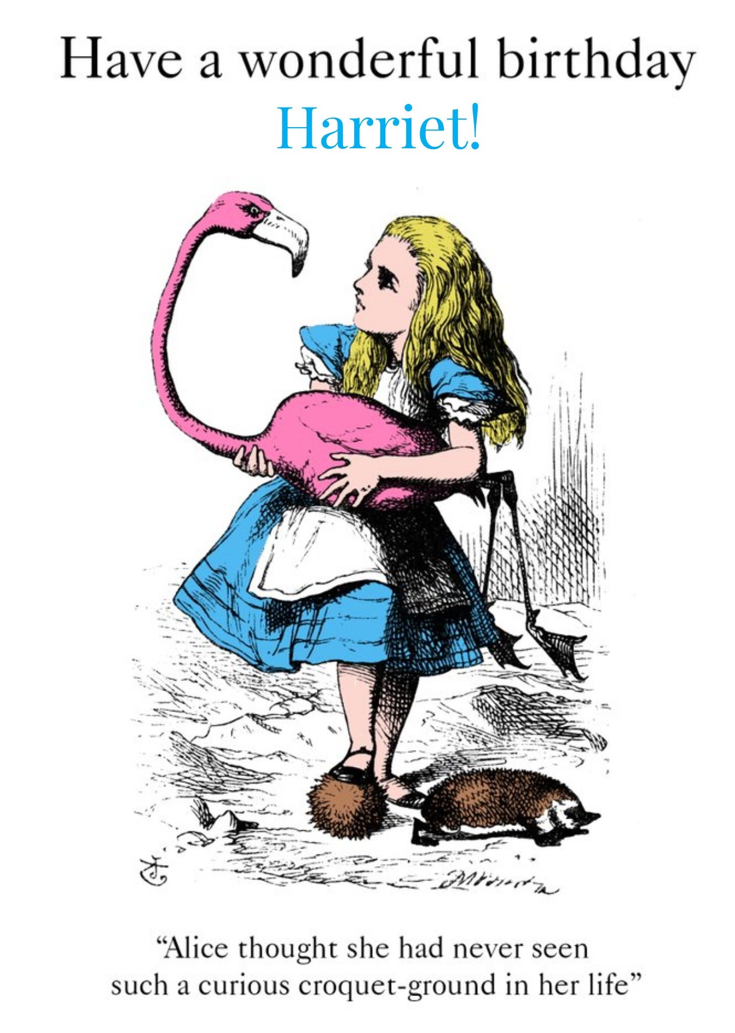 The V&a V&a Alice In Wonderland Illustration With Flamingo Birthday Card, Large