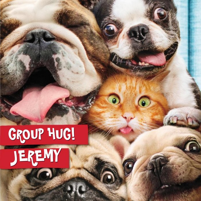 Birthday Card - Group hug - Selfie of dogs