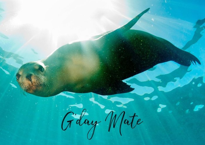Photographic Seal G'day Mate Card
