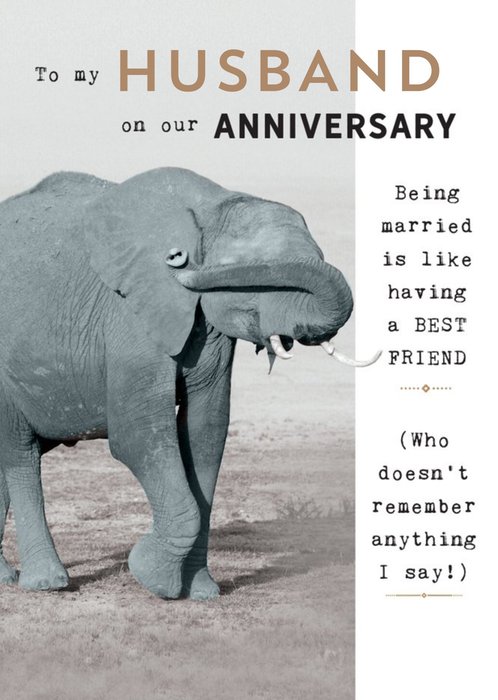 Humorous Photographic Elephant Editable Husband Anniversary Card