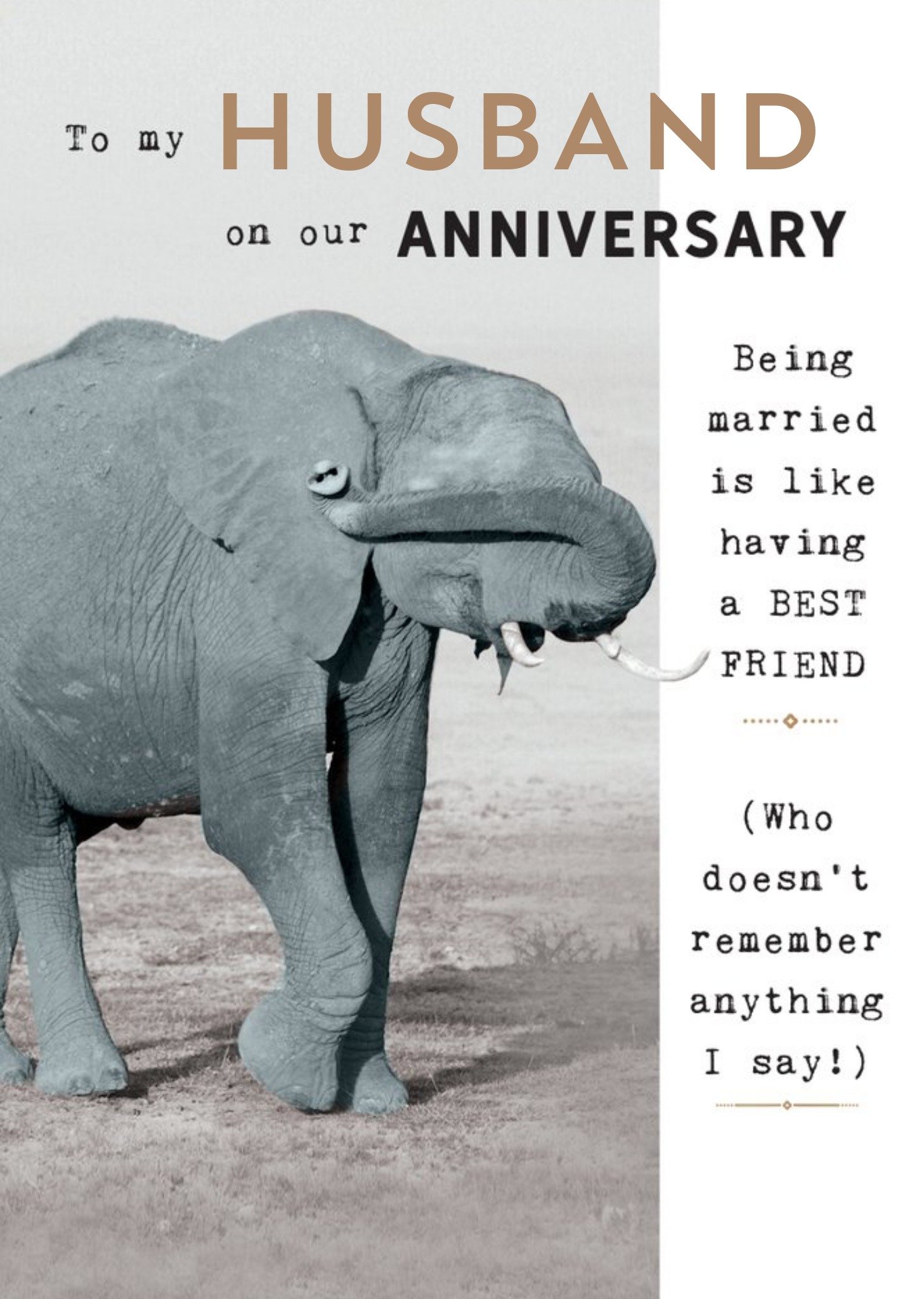Moonpig Humorous Photographic Elephant Editable Husband Anniversary Card Ecard