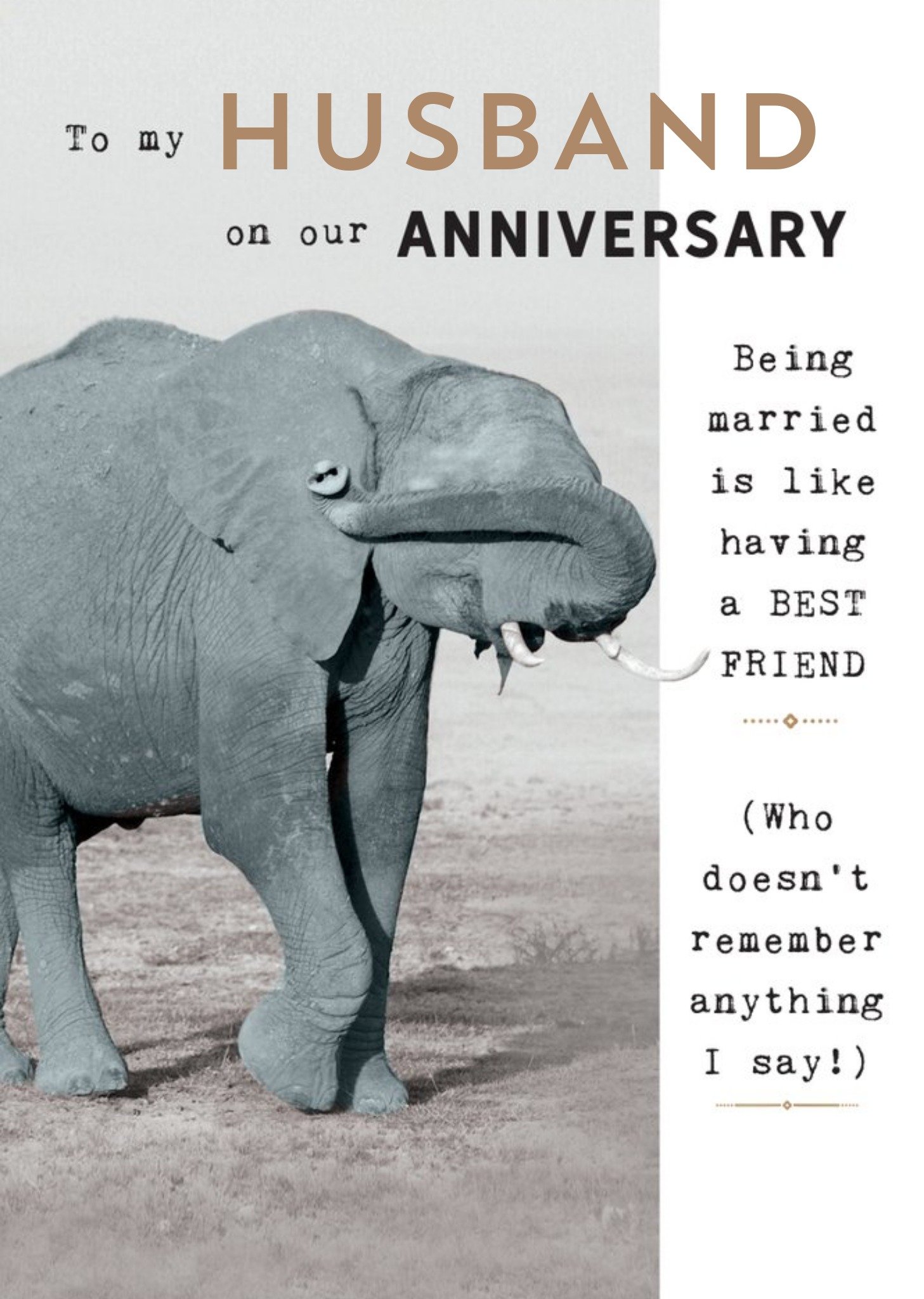 Humorous Photographic Elephant Editable Husband Anniversary Card Ecard