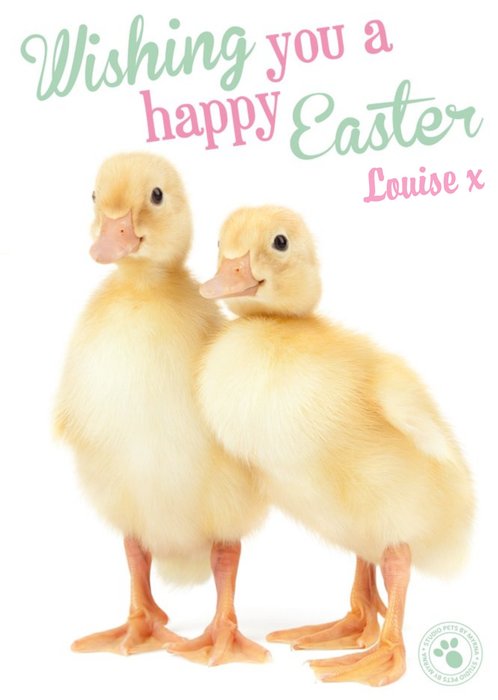 Little Ducklings Happy Easter Personalised Card