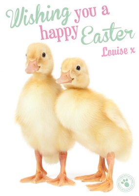 Little Ducklings Happy Easter Personalised Card