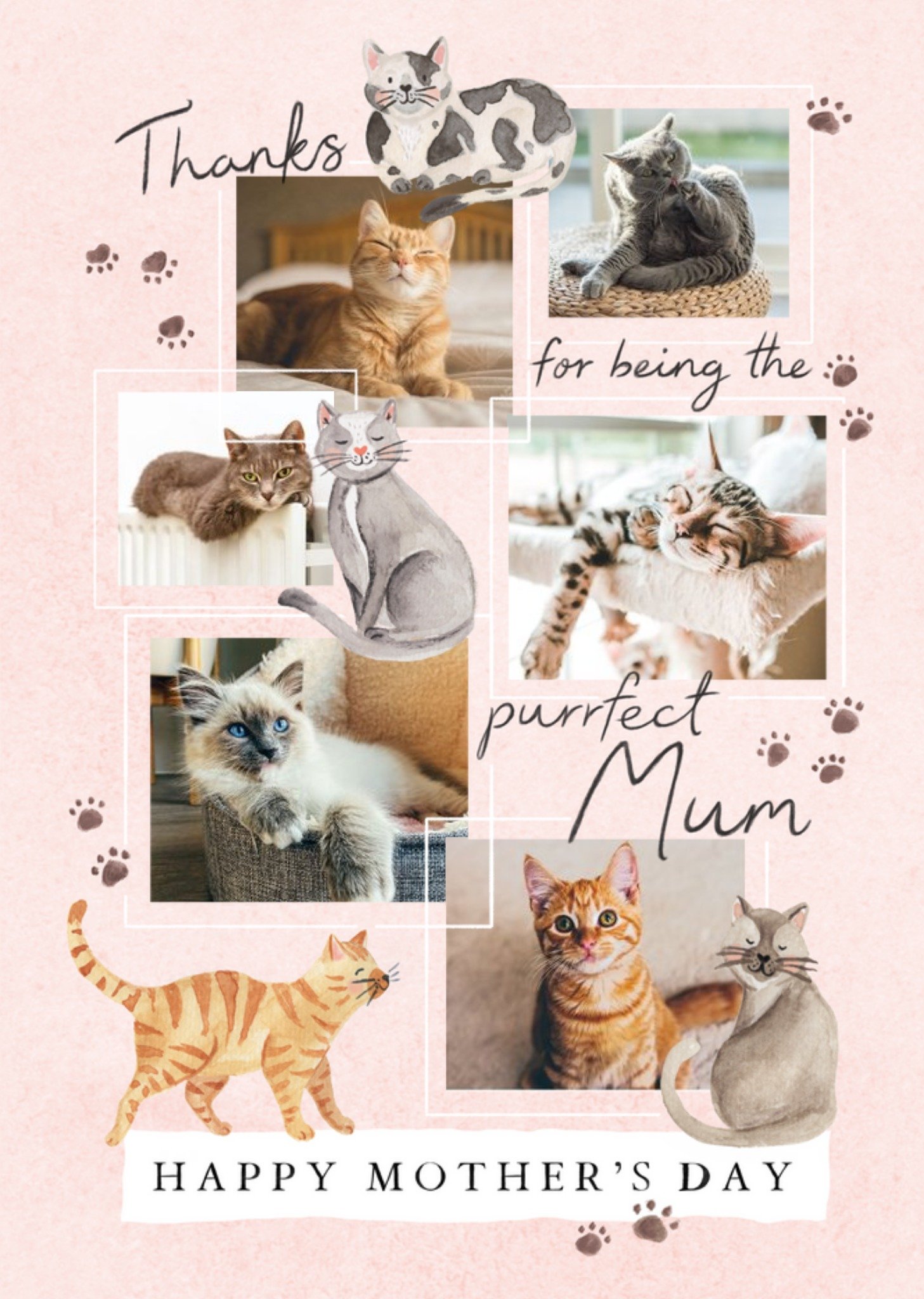 Purrfect Mum Illustrated Cats Photo Upload Mother's Day Card Ecard