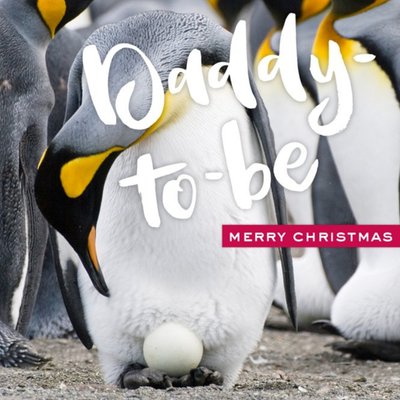 Daddy To Be Penguin Christmas Card