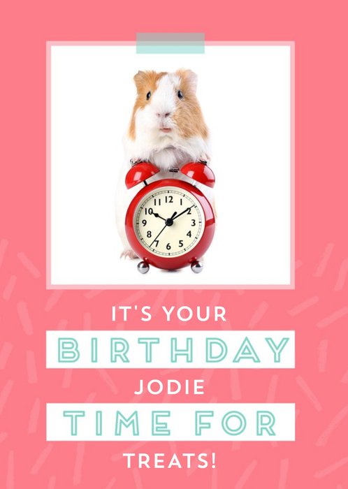 Time For Treats - Guinea Pig - Birthday Card