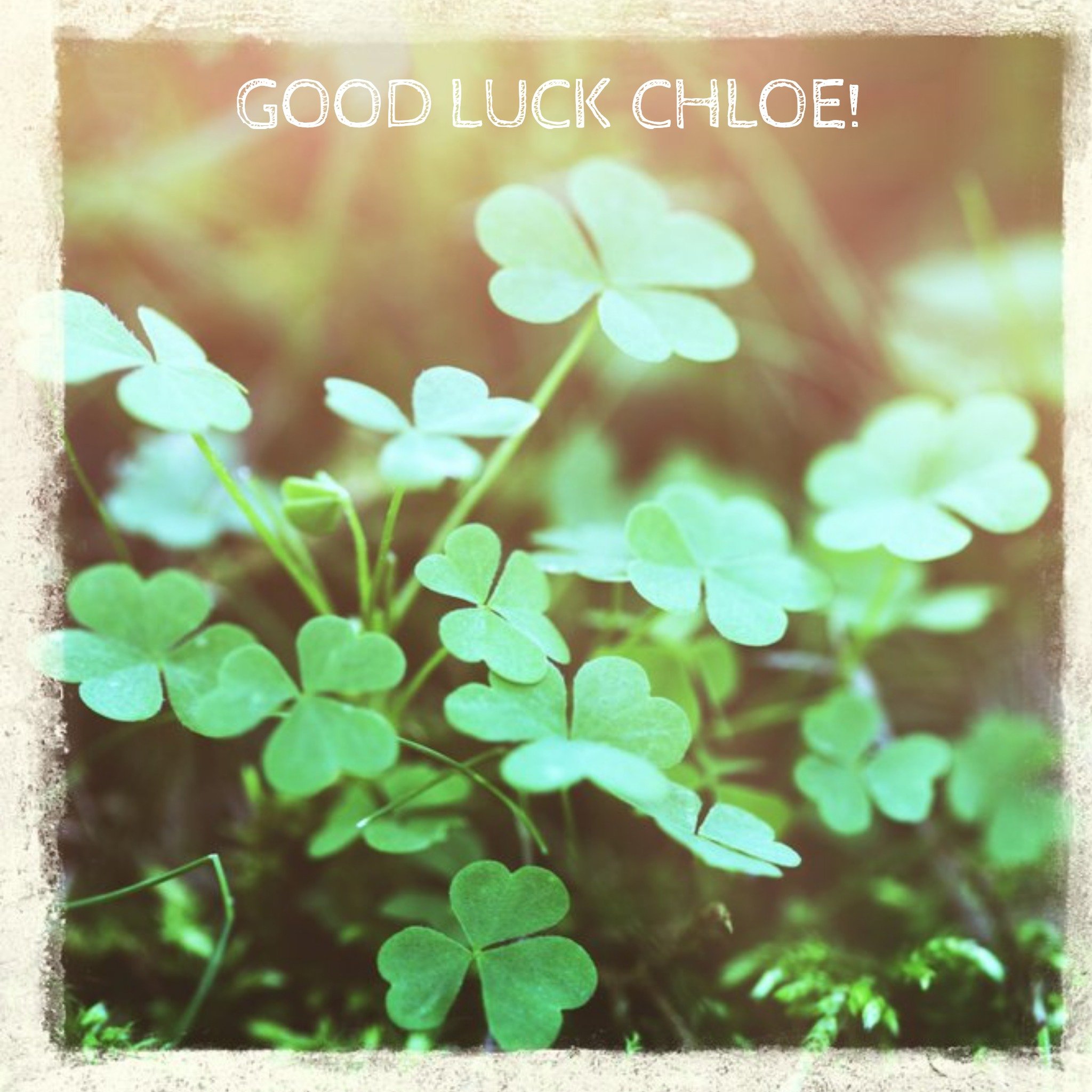 Moonpig Oh Snap Personalised Good Luck Clova Card, Square