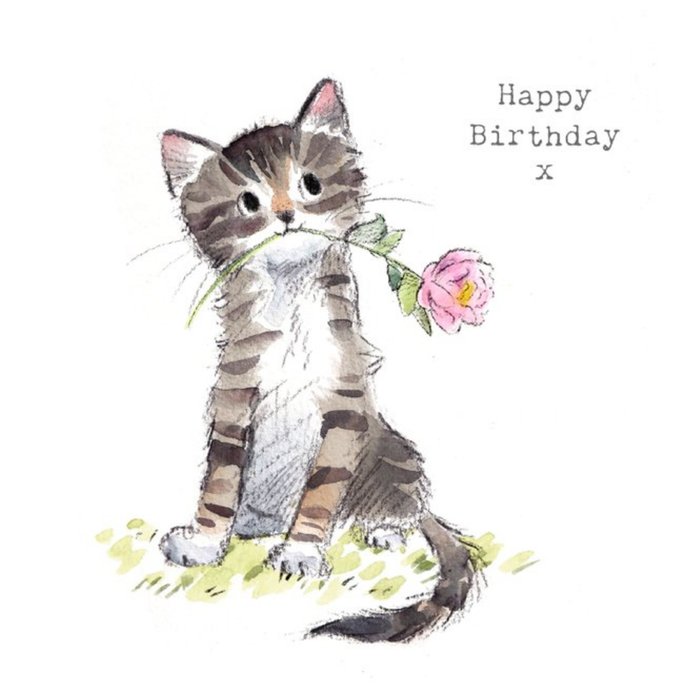 Cute Illustrated Tabby Kitten Birthday Card