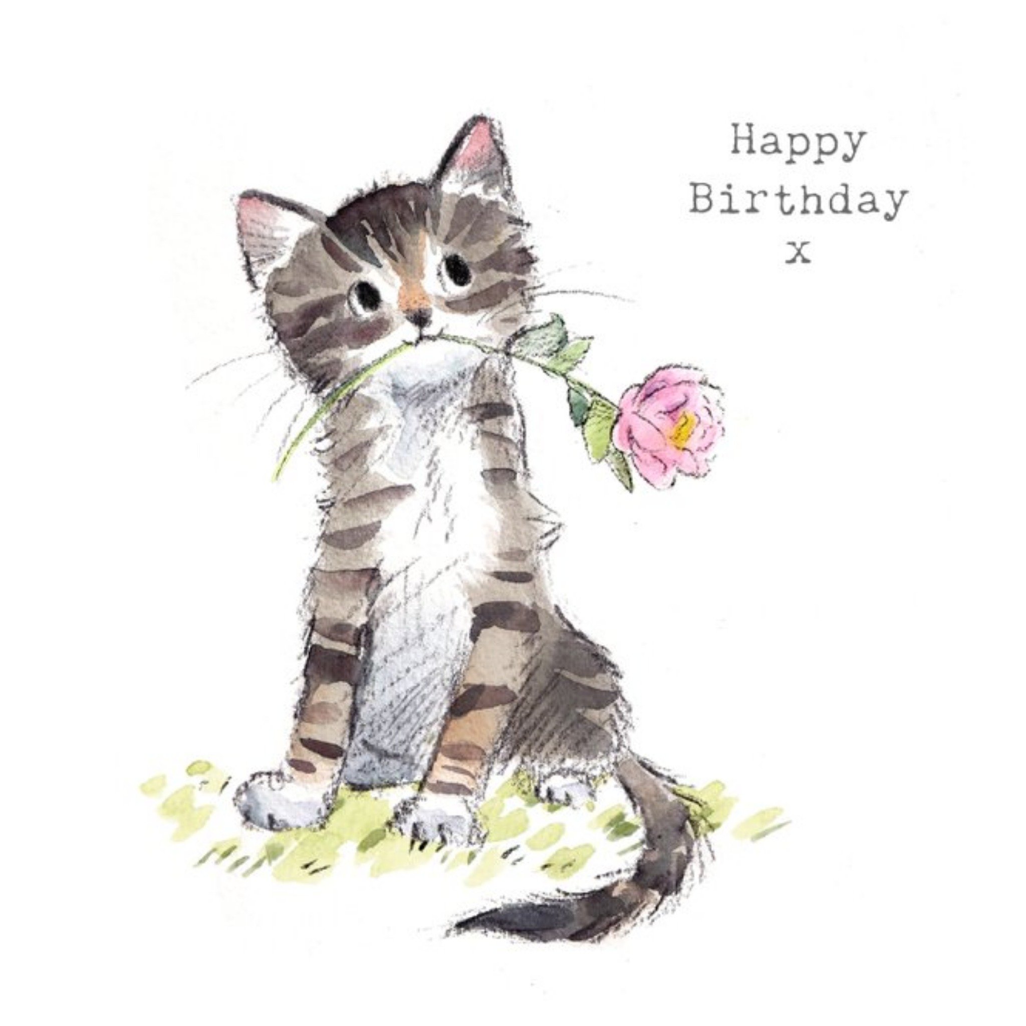 Moonpig Cute Illustrated Tabby Kitten Birthday Card, Large
