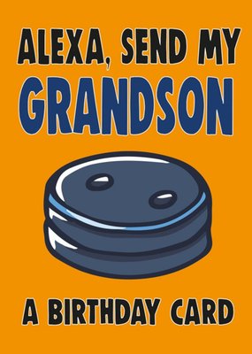 Bright Bold Typography With An Illustration Of Alexa Grandson Birthday Card