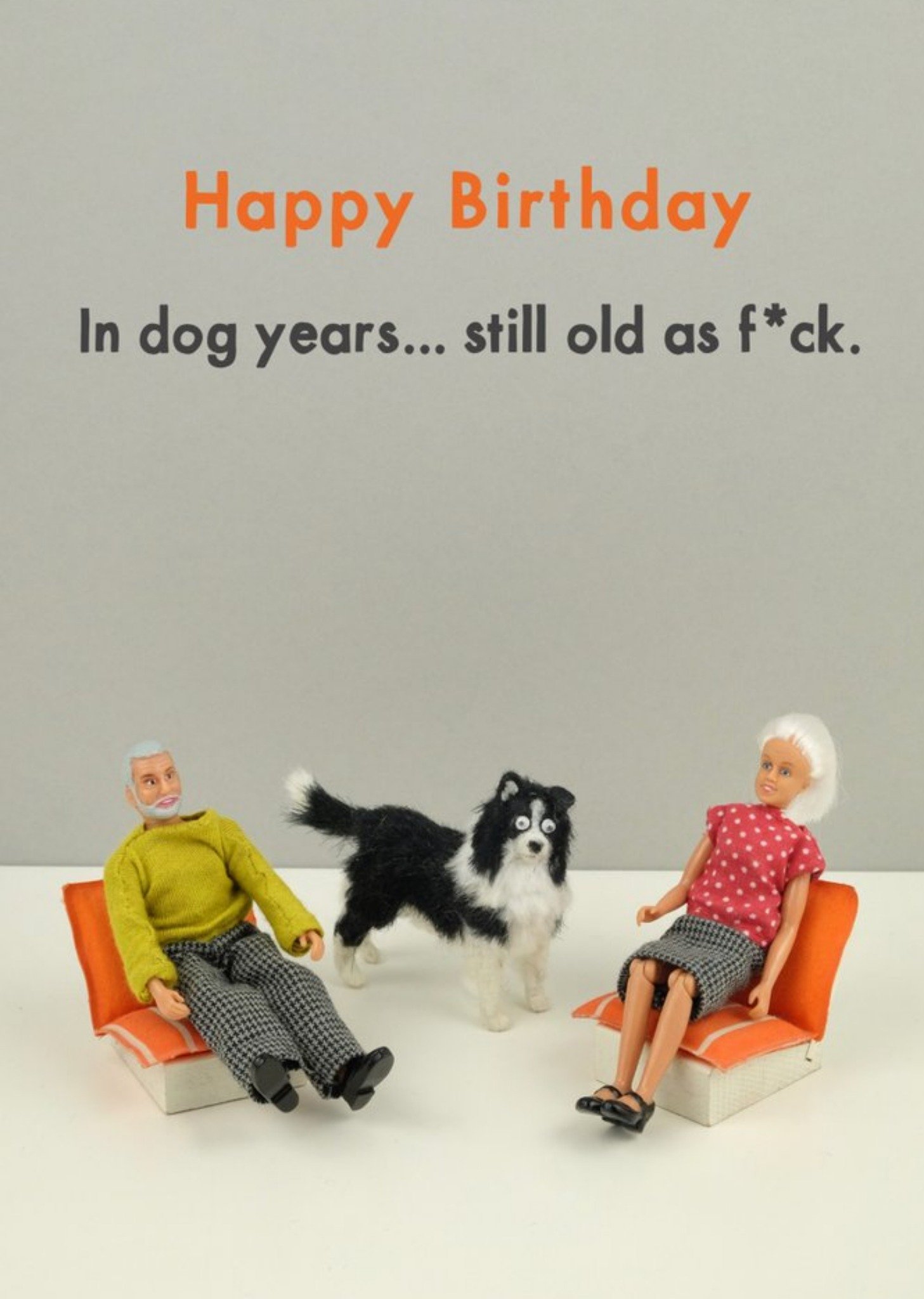 Bold And Bright Funny Dolls In Dog Years...still Old Birthday Card, Large