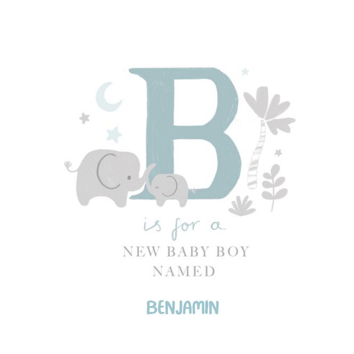 Millicent Venton Illustrated New Baby Boy Card