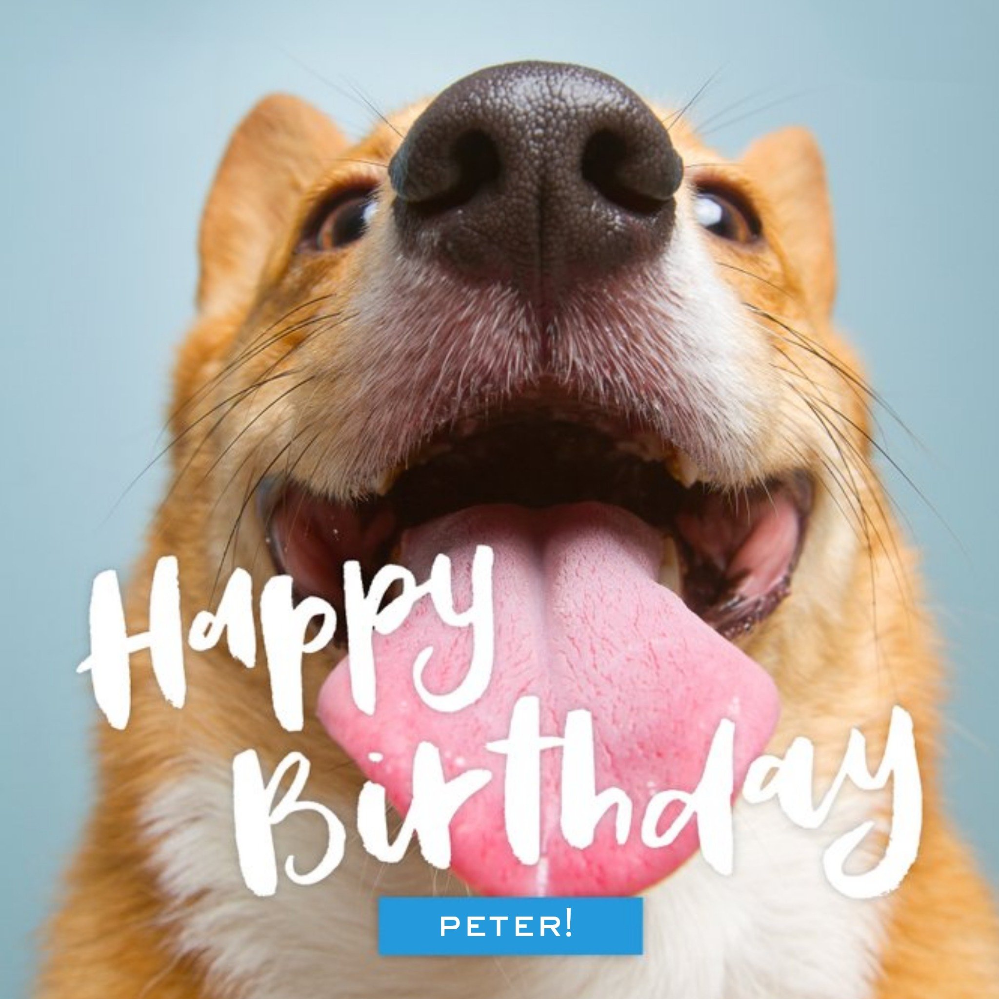 Moonpig Doggie Tongue Personalised Happy Birthday Card, Large
