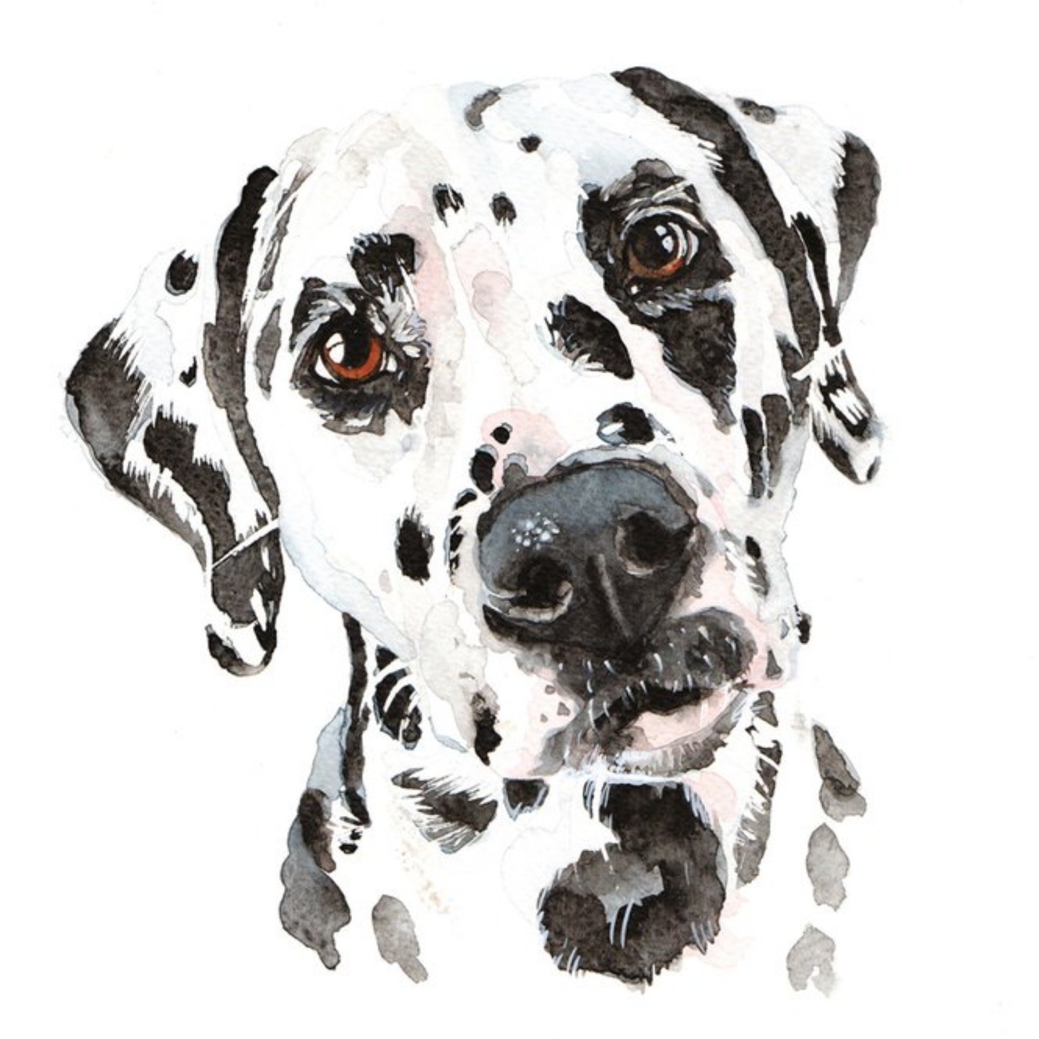 Moonpig Illustrated Watercolour Dog Dalmation Just A Note Card, Square