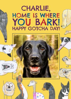 Quirky Illustrations Of Dogs Photo Upload Happy Gotcha Day Card