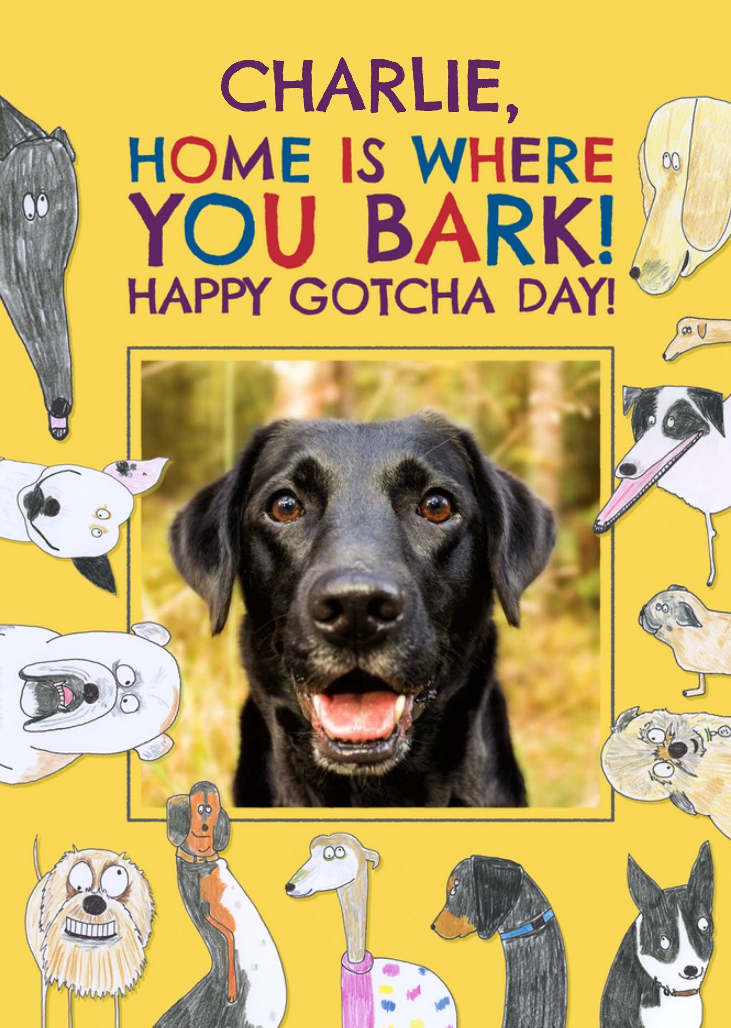 Hercule Van Wolfwinkle Quirky Illustrations Of Dogs Photo Upload Happy Gotcha Day Card Ecard