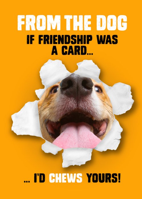 If Friendship Was A Card I'd Chews Yours Photo Upload Card From The Dog