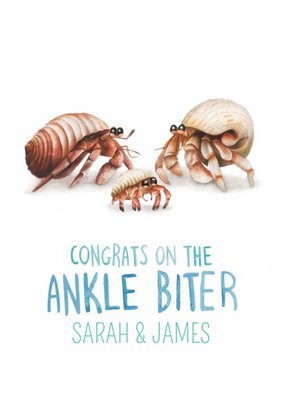 Illustration Of A Family Of Hermit Crabs New Baby Card