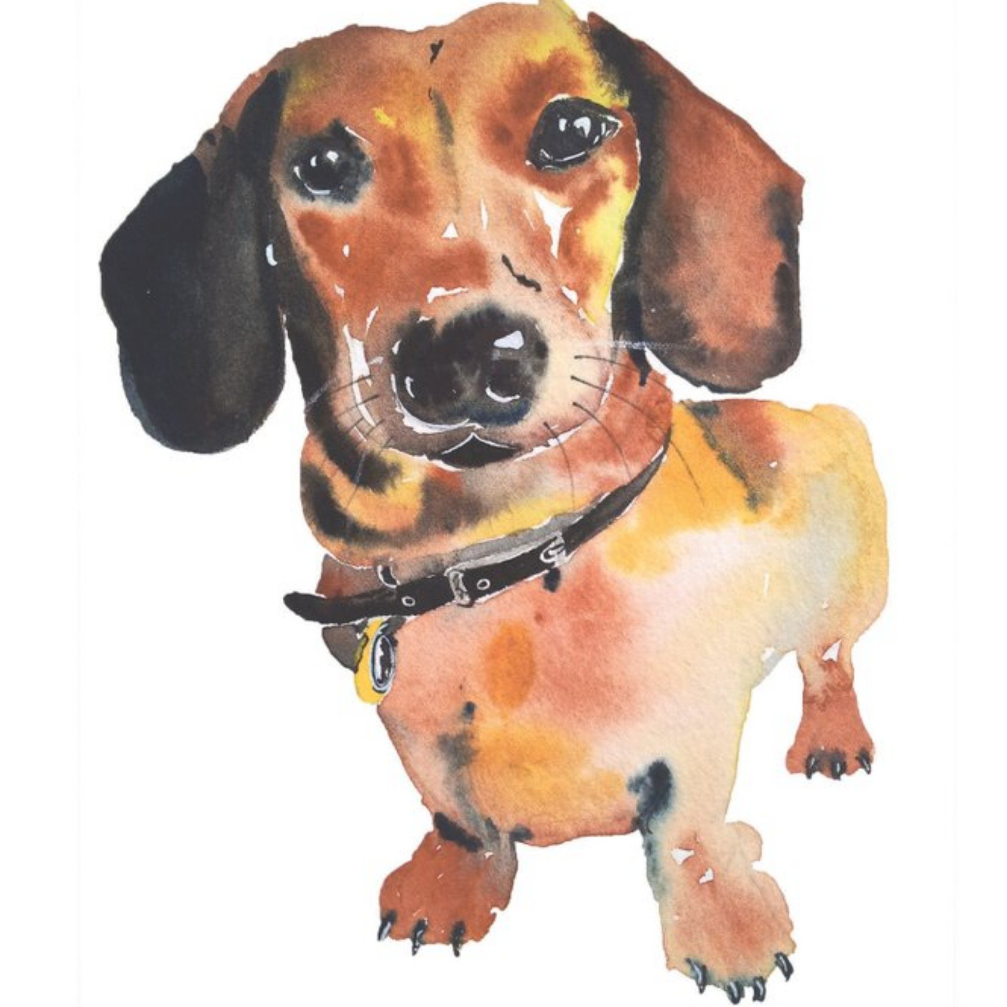 Moonpig Illustrated Watercolour Sausage Dog Just A Note Card, Square